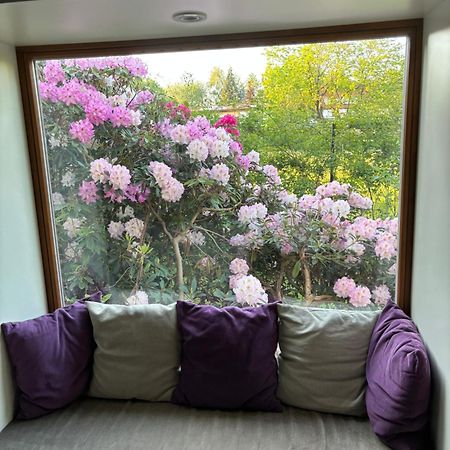 7 Bedroom Secluded Villa Close To Prague Říčany Eksteriør bilde